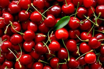 Fresh Cherry 03