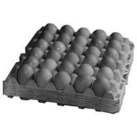 Paper Egg Trays - 01