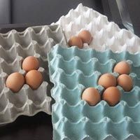 Paper Egg Trays - 03
