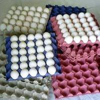 Paper Egg Trays - 04