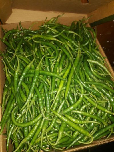 Fresh Green Chili 01