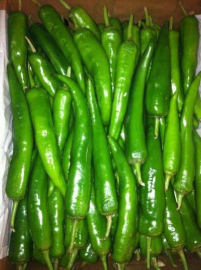 Fresh Green Chili 02