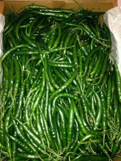 Fresh Green Chili 03