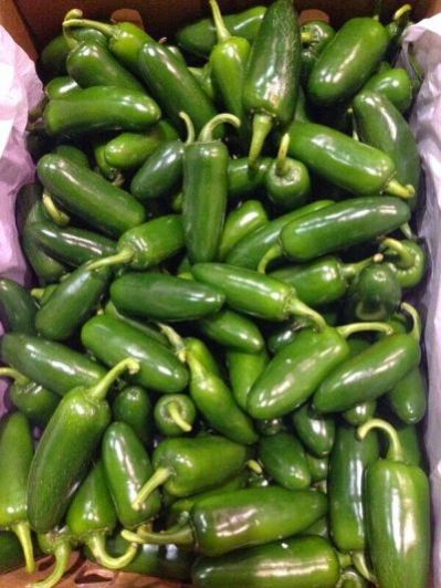 Fresh Green Chili 04