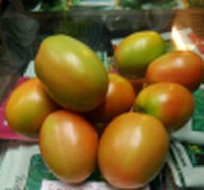 Fresh Tomato 02