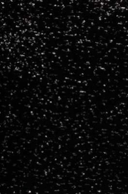 Double Effect Net Fabric With Sequin Embroidery