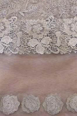 Fancy Net Fabrics With Zari Embroidery