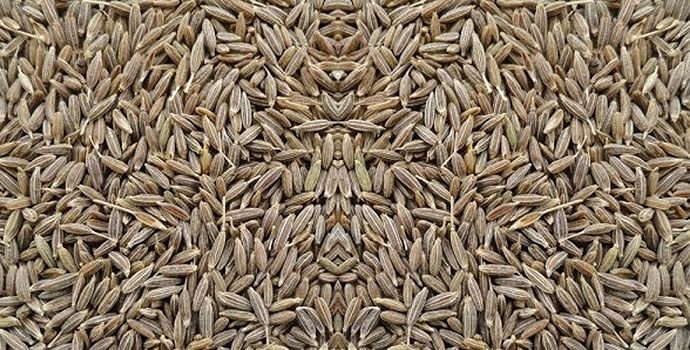 Cumin Seeds 01