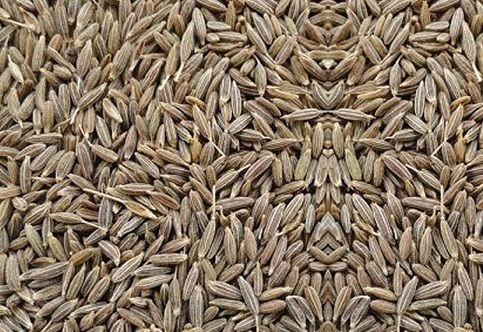 Cumin Seeds 02
