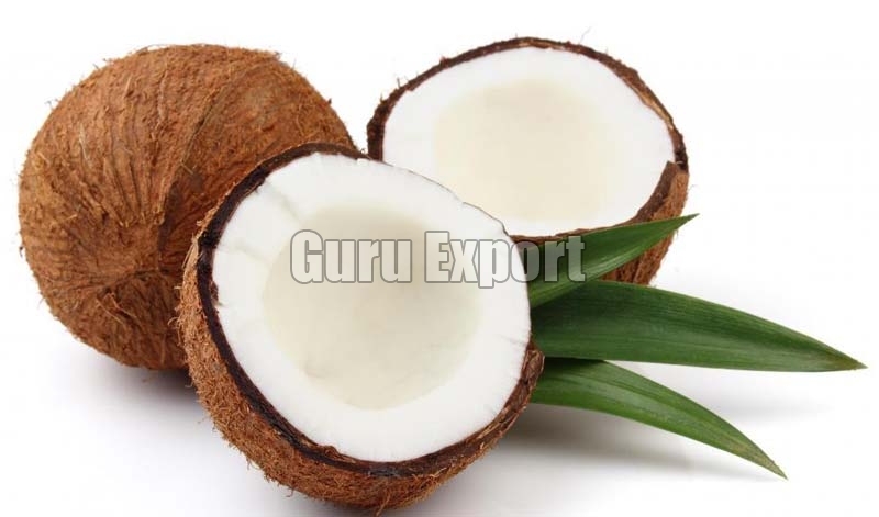 Fresh Coconut 01