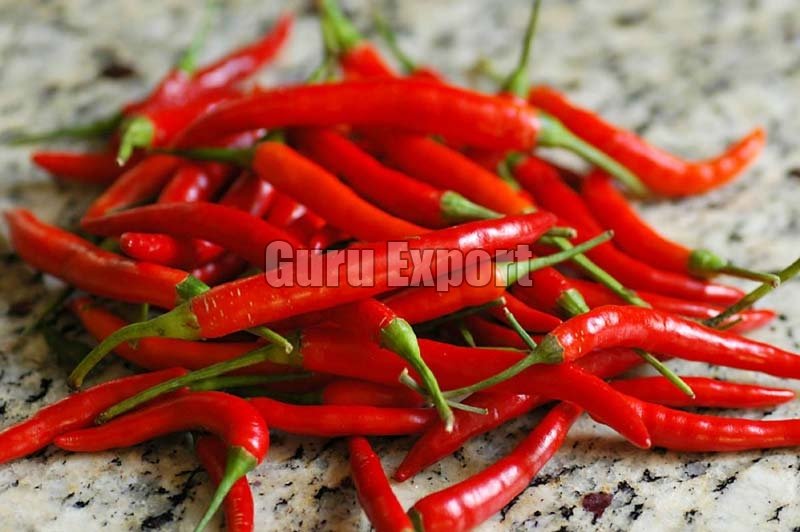 Fresh Red Chili 01