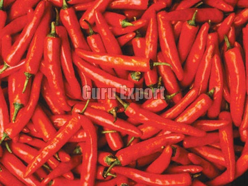 Fresh Red Chili 02