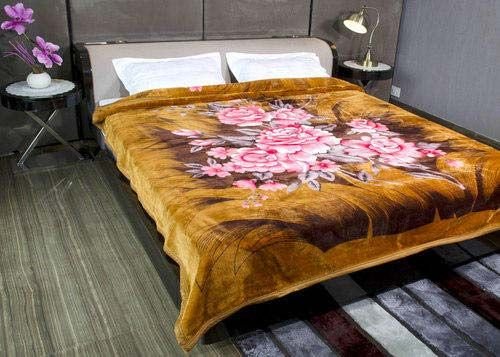 Penguin Queen Single Bed