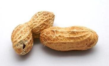 Monkey Nuts 01