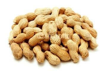 Pygmy Nuts