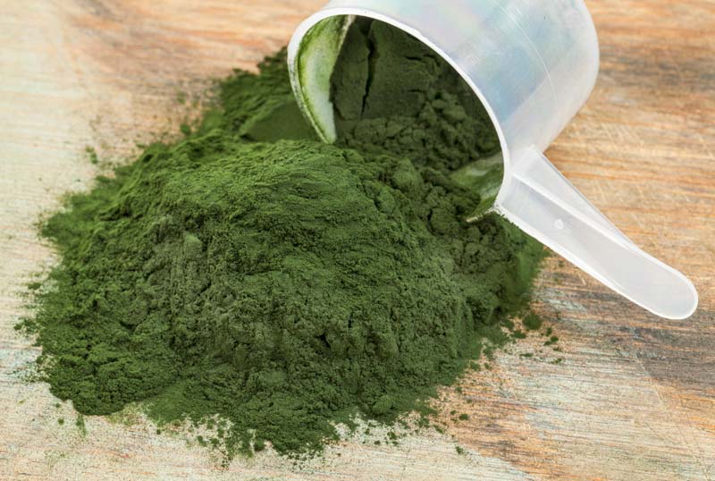 Spirulina Powder 01