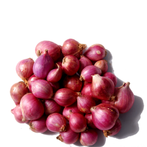 Fresh Red Onion 04