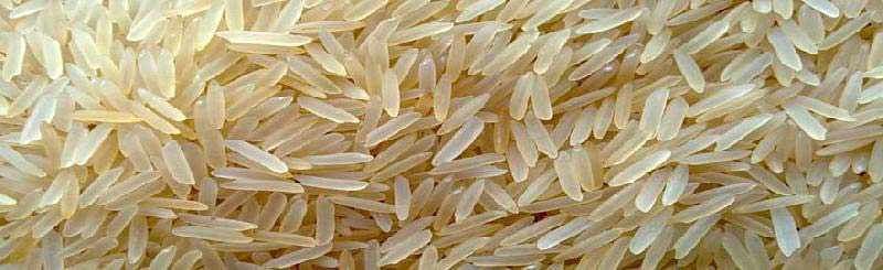 Golden Sella Basmati Rice 01