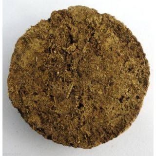 Cow Dung Cakes 04