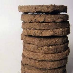 Cow Dung Cakes 05
