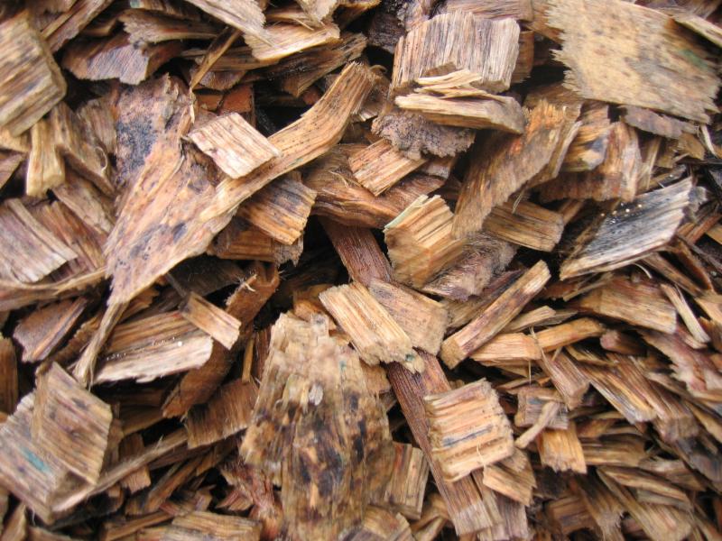 Rubber Wood Chips 04
