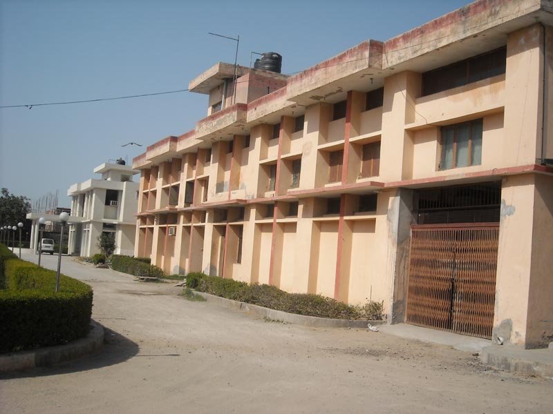 Image - 09