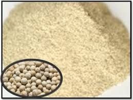 White Pepper Powder 01