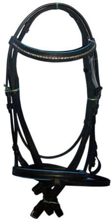 Leather Bridle 01
