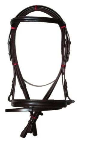 Leather Bridle 02