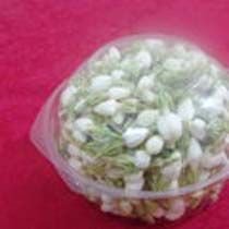 Jasmine Flowers 01