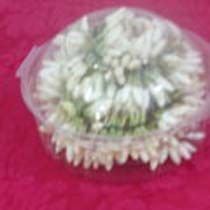 Jasmine Flowers 03
