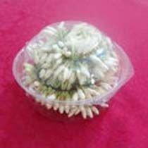 Jasmine Flowers 06