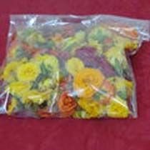 Marigold Flowers 01