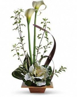 Image 01