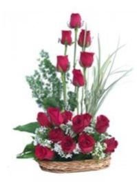 Image 01