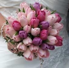 Image 03