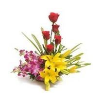 Image 06