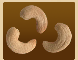 Cashew Nut 03