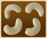 Cashew Nut 09