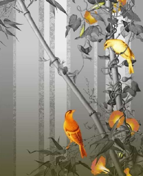 Digital Paintings of Birds