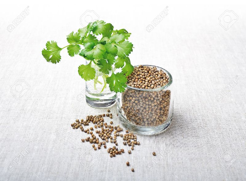 Coriander Seed 02