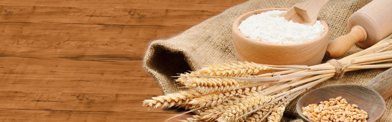 Wheat Flour 01