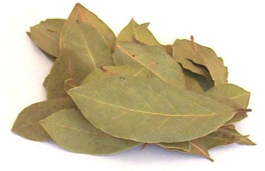 Bay Leaf