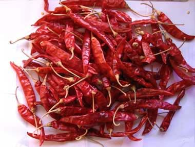 Dried Red Chilli