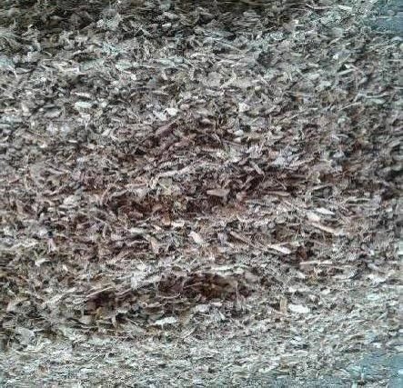 Fish Meal Manure  01