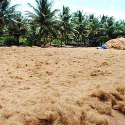 Coconut Coir Fiber 01