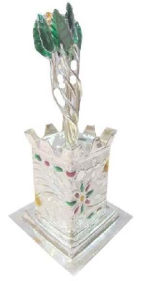 Silver Tulsi Plant 01