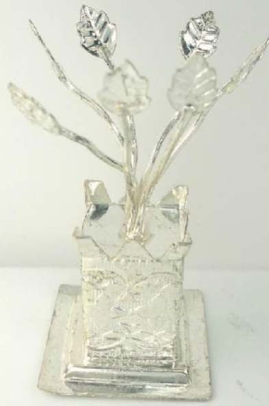 Silver Tulsi Plant 02