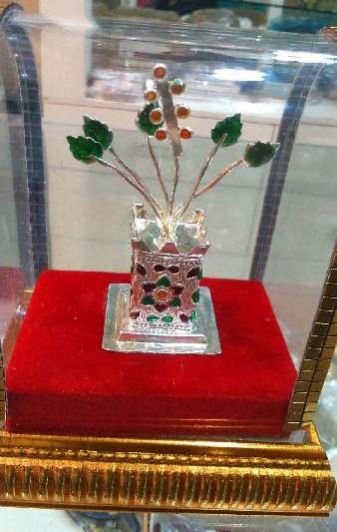 Silver Tulsi Plant 03