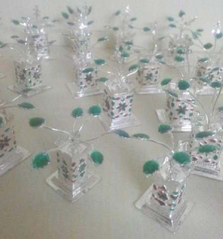 Silver Tulsi Plant 04
